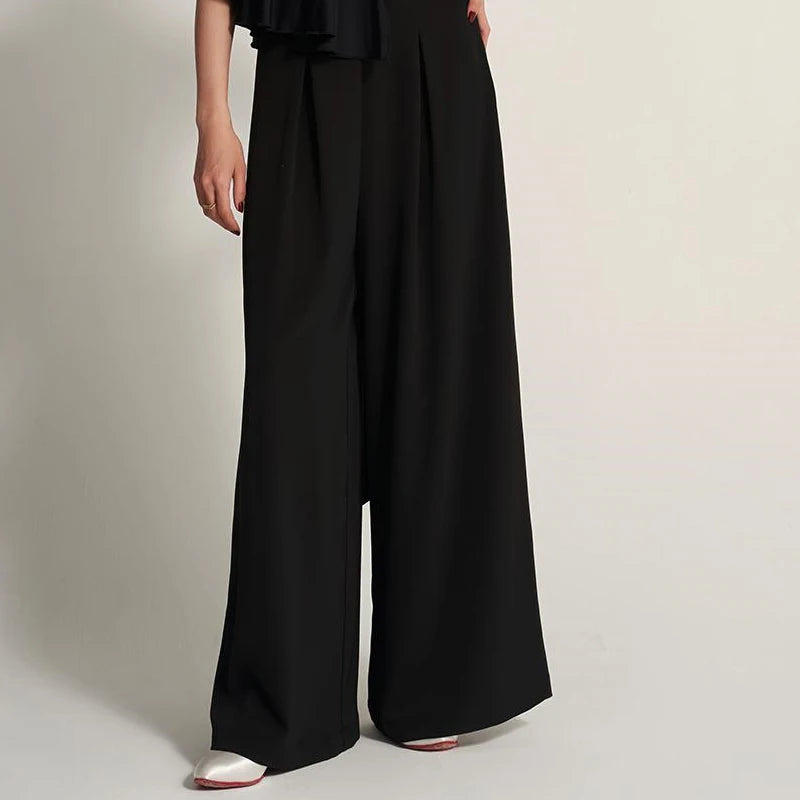 Women's Black V-Neck Long Sleeve Top and Wide-Leg Pants Set, Pleated, Ballroom Dance
