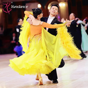 Women's International Standard Ballroom Dance Dress With Ostrich Feathers In Chiffon For Competition