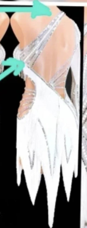 Ballroom Dance Dress Women's Light Blue & White Fringe, One-Shoulder AB Stone Embellished Latin Rhythm Gown