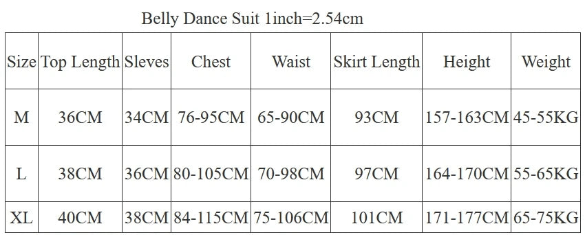 Belly Dance Costume Women Black Off Shoulder Crop Top with High Slit Skirt and Rhinestone Hip Scarf, Professional Performance Set