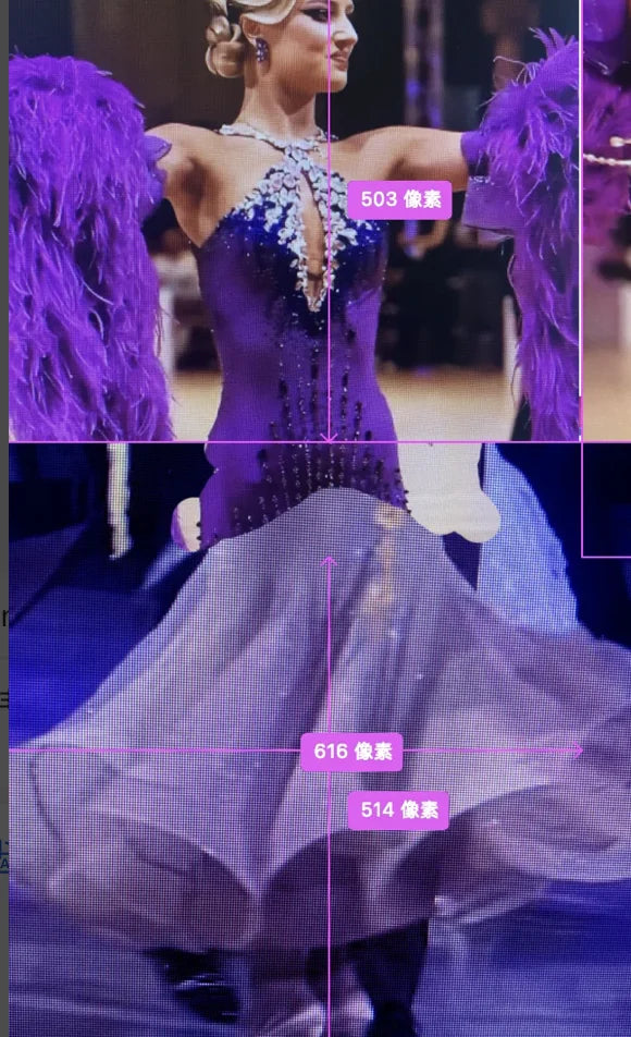 Women's Purple Sequin & Feather Ballroom Dance Gown