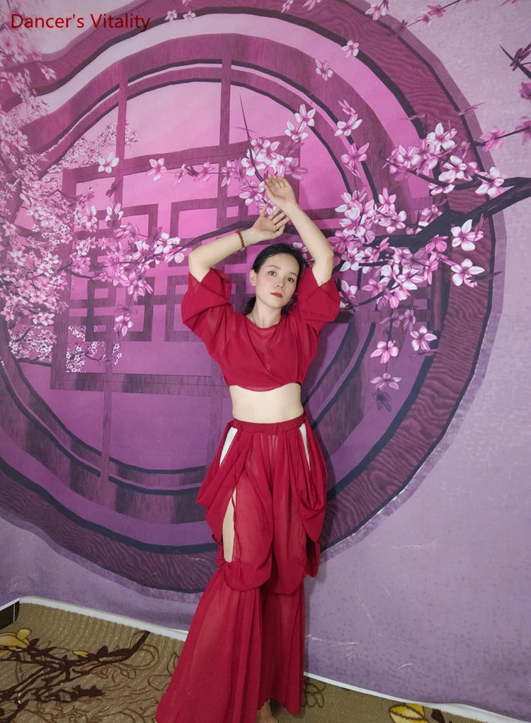 Women's Belly Dance Training Outfit With Long-Sleeve Top And Chiffon Lantern Pants