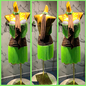 Women's Green & Brown Sequin Fringe Latin Ballroom Dance Dress