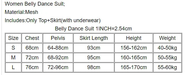 Women's Silver Sequin Tassel Belly Dance Costume Set