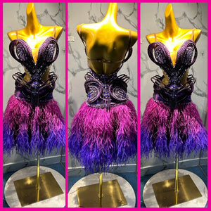 Latin Dance Dress Women's Purple Ombre Feathered Sequin Rhinestone Fringe Costume