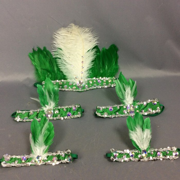hot selling free shipping feathers head & arm & leg piece for samba dress carnival dress 5 pcs/set