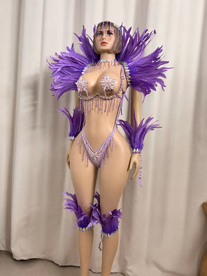 Top Quality Handmade Samba Rio Carnival Wire Bra+Panty+feather shawl With Stone Sexy Belly Dancing Costume