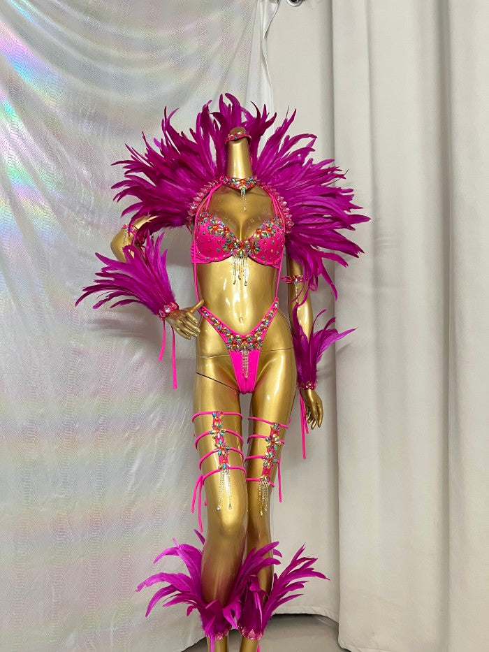 New Handmade Samba Carnival  Bra And Panty With Feather Set Stones Decorate For EDC Festival Rave Carnival