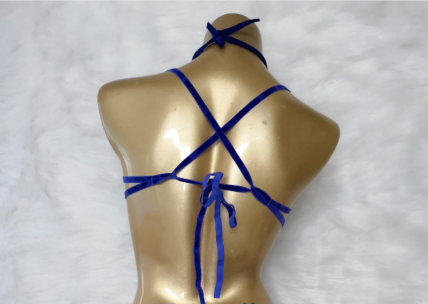 New Sexy Wire Bra For Carnival Costume Women Samba Costumes Top Bra Stone Belly Dancing Party Nightclub WIRE BRA  BB002-2