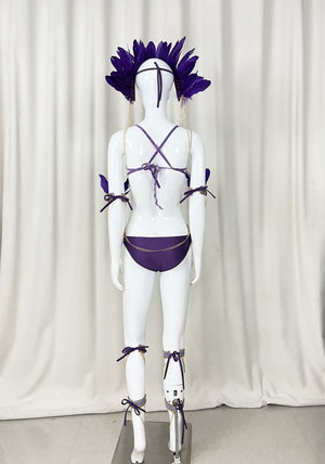 Samba Carnival Handmade Wire Bra And Bottom With Feather Headpiece And Arm,Leg Piece For Halloween Festival
