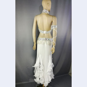 Top quality New women belly dance costume set showgirl belly dancing clothes halloween bellydance bra&belt&skirt 5pcs suit tf1732+ sk38
