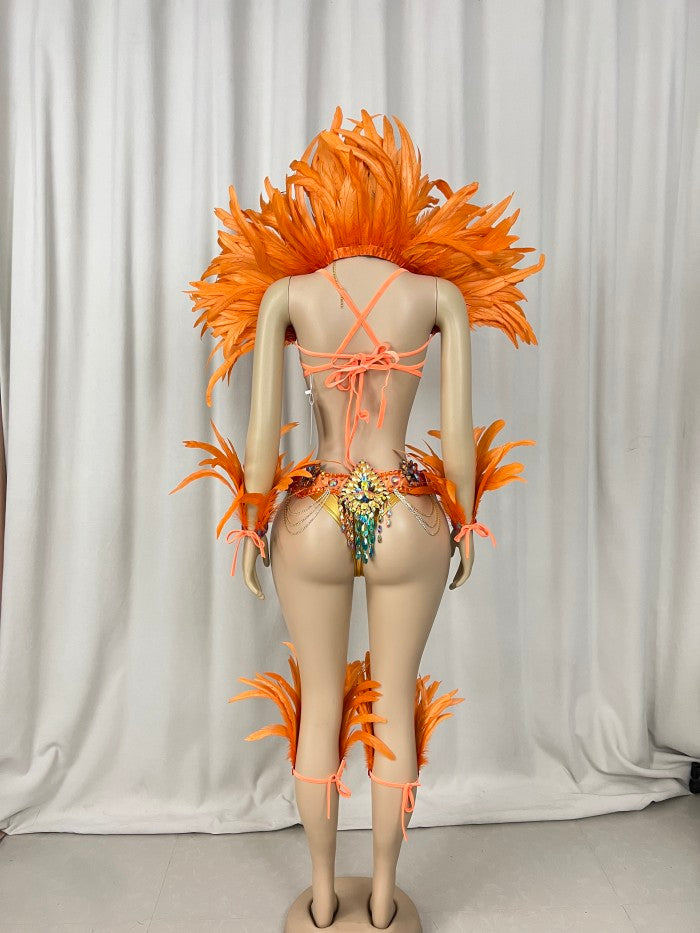 Samba Costumes Handmade Wire Bra And Belt With Feather Piece For Festival Costumes