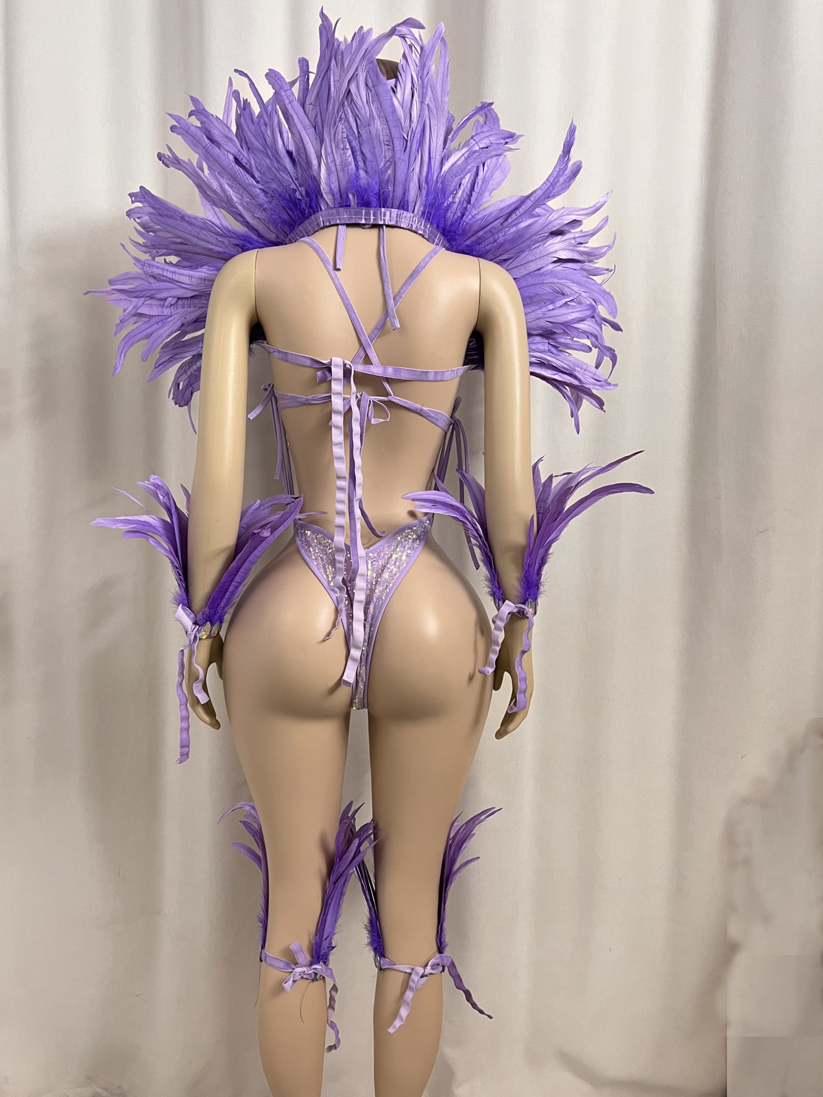 Top Quality Handmade Samba Rio Carnival Wire Bra+Panty+feather shawl With Stone Sexy Belly Dancing Costume