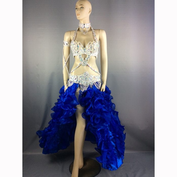 New women performance belly dance costume set carnival belly dancing clothes halloween bellydance bra&belt&skirt 5pcs suit TF1732 (5PCS/SET)