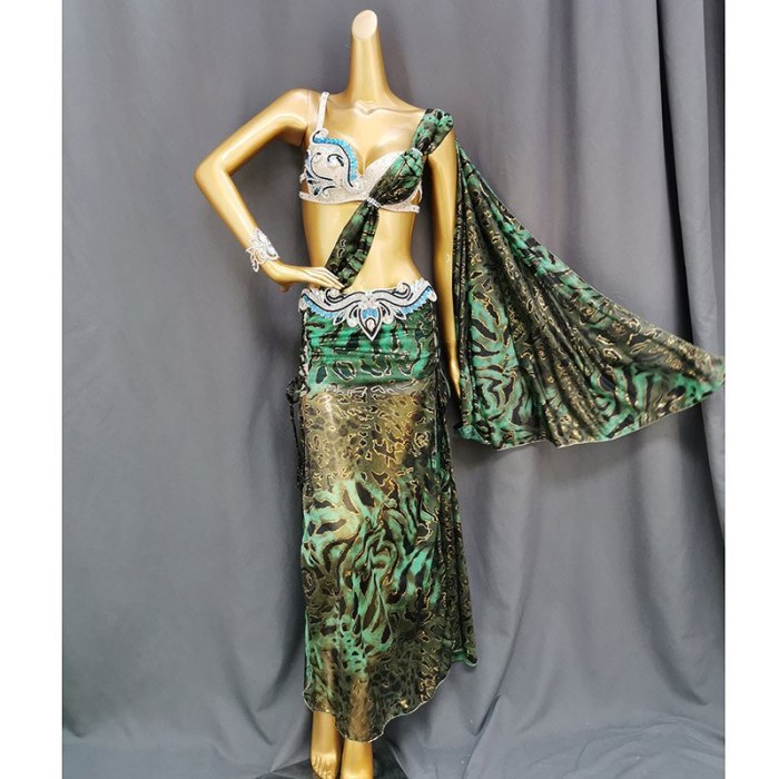 New Professional Performance Wear Belly Dance Costume Long Skirt Set Belly Dancing Sexy Bellydance Clothes Outfit For Women&Girl TF1922