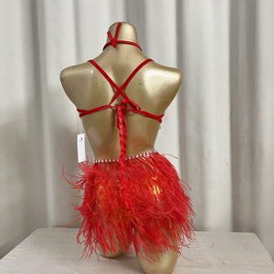 New Style Handmade Samba Carnival Wire Bra,Pants And Ostrich Feather Mini Skirt With Stones For EDC Festival Rave Carnival Red Color