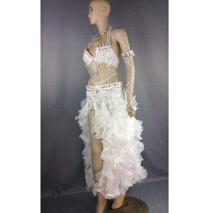 high quality belly dance costume professional costume wear outfit for women 5-piece bar belt skirt clothing sets TF1402 (5pcs/set)