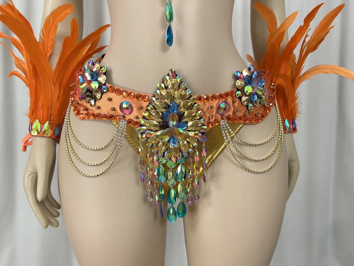 Samba Costumes Handmade Wire Bra And Belt With Feather Piece For Festival Costumes