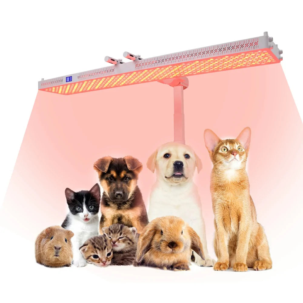 RL600MAX red light therapy panel shown with a pet