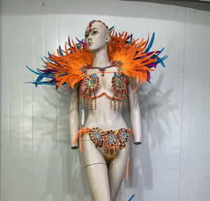 Carnival Adult Female Orange Blue Feathered Sequin Rhinestone Bikini Set with Headpiece and Shoulder Piece for Samba Dance