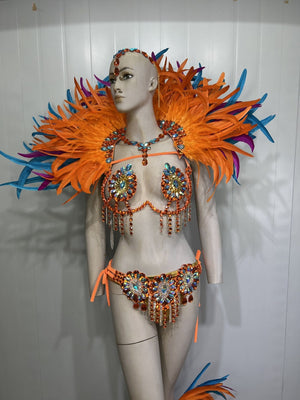 Carnival Adult Female Orange Blue Feathered Sequin Rhinestone Bikini Set with Headpiece and Shoulder Piece for Samba Dance