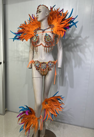 Carnival Adult Female Orange Blue Feathered Sequin Rhinestone Bikini Set with Headpiece and Shoulder Piece for Samba Dance