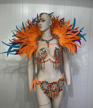 Carnival Adult Female Orange Blue Feathered Sequin Rhinestone Bikini Set with Headpiece and Shoulder Piece for Samba Dance