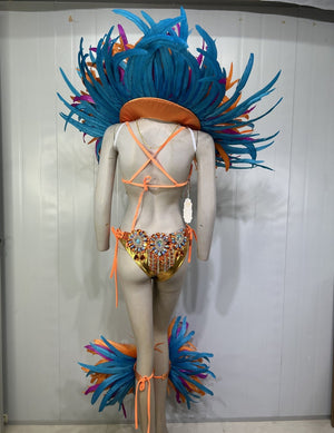 Carnival Adult Female Orange Blue Feathered Sequin Rhinestone Bikini Set with Headpiece and Shoulder Piece for Samba Dance