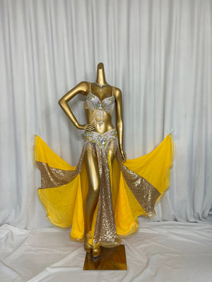 Belly Dance Costume Women Black Sequin Beaded Fringe Bra & Skirt Set with Slits, Performance Wear