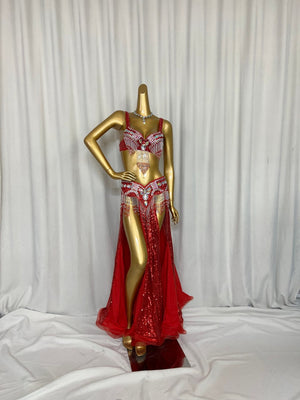 Belly Dance Costume Women Black Sequin Beaded Fringe Bra & Skirt Set with Slits, Performance Wear