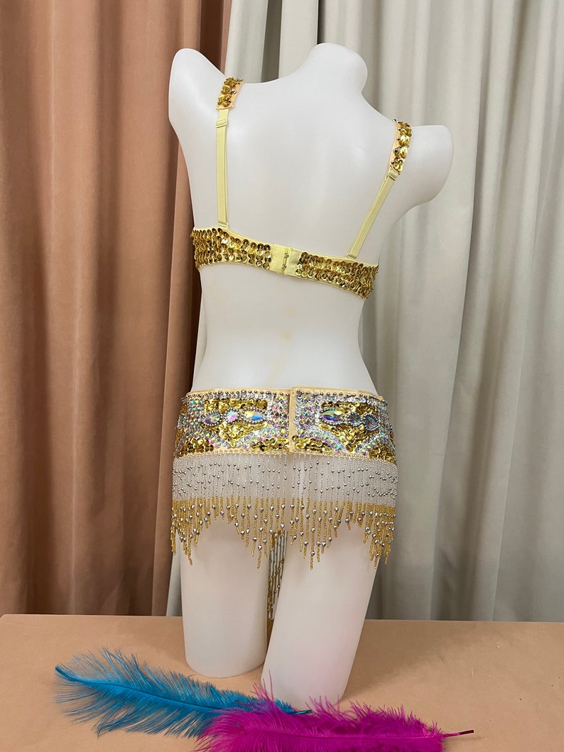 Belly Dance Bra and Belt Set, Women's Gold and Silver Sequin Beaded Fringe, Rhinestone Embellished, Performance Costume