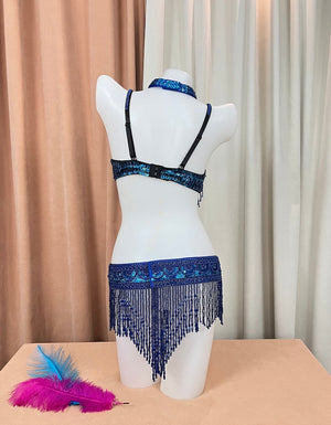 Women's Silver Sequin Beaded Fringe Belly Dance Bra Top and Skirt Set, Choker Necklace Included