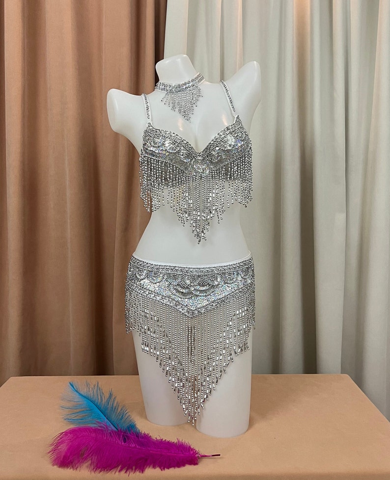 Women's Silver Sequin Beaded Fringe Belly Dance Bra Top and Skirt Set, Choker Necklace Included