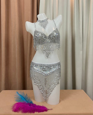 Women's Silver Sequin Beaded Fringe Belly Dance Bra Top and Skirt Set, Choker Necklace Included