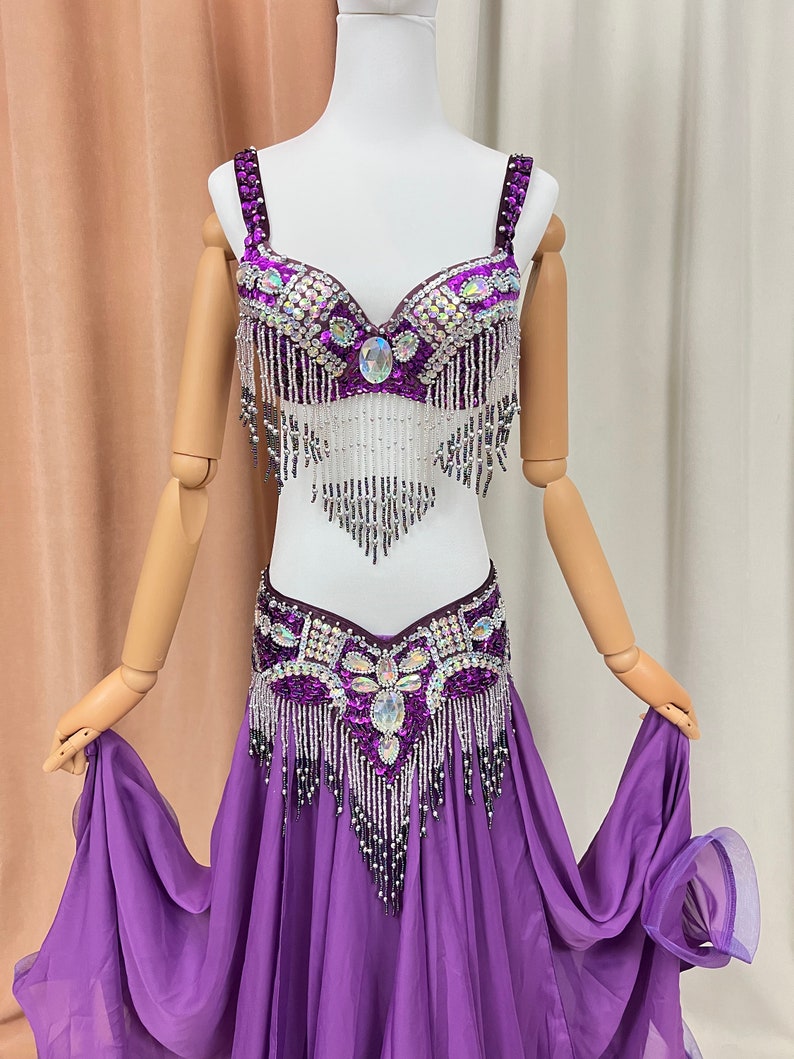 Belly Dance Costume Women's Purple Sequin Beaded Fringe Bra and Skirt Set, Chiffon Performance Outfit