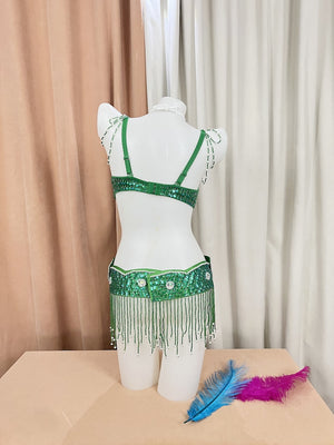 Belly Dance Costume Women's Pink Sequin & Bead Embellished Bra and Belt Set with Draping Chains & Choker