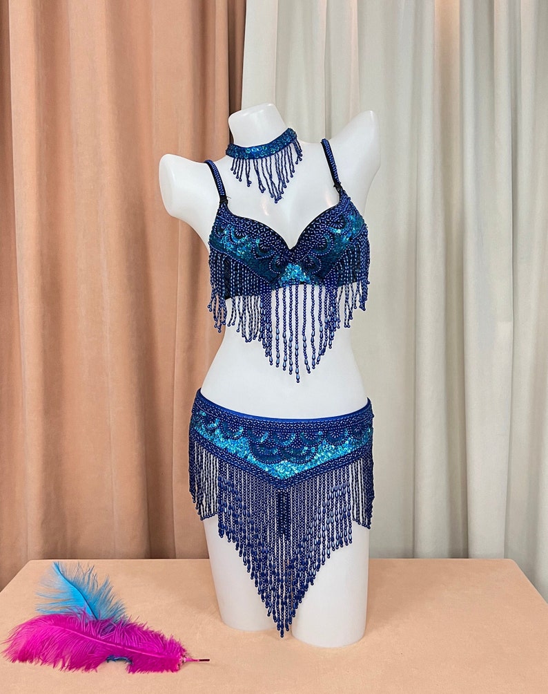 Women's Silver Sequin Beaded Fringe Belly Dance Bra Top and Skirt Set, Choker Necklace Included