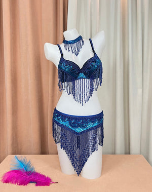 Women's Silver Sequin Beaded Fringe Belly Dance Bra Top and Skirt Set, Choker Necklace Included