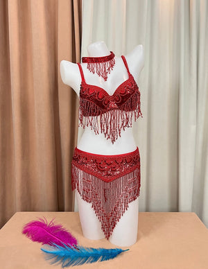 Women's Silver Sequin Beaded Fringe Belly Dance Bra Top and Skirt Set, Choker Necklace Included