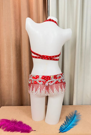 Belly Dance Costume Womens Black Sequin Beaded Rhinestone Bra and Belt Set, Halter Neck, Fringe Trim