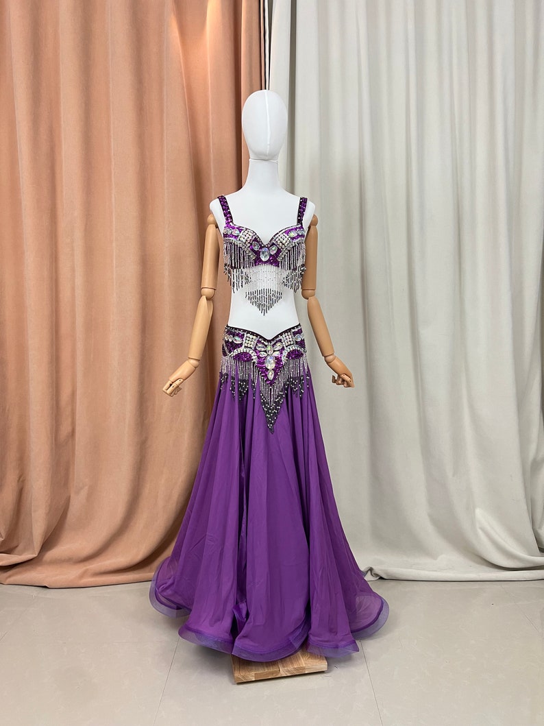 Belly Dance Costume Women's Purple Sequin Beaded Fringe Bra and Skirt Set, Chiffon Performance Outfit
