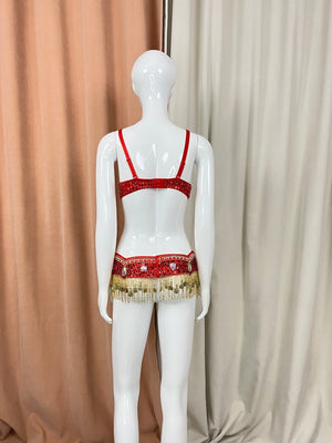 Women's Gold Embellished Sequin Fringe Belly Dance Bra and Belt Set