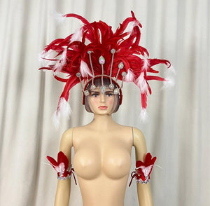 Adult Blue & White Feather & Rhinestone Headdress with Armbands - Carnival Dance Costume