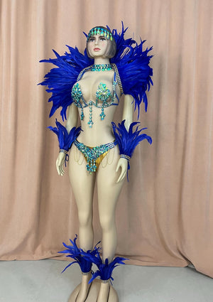 Carnival Dance Costume Women's Blue Feathered & Embellished Sequin Mardi Gras Samba Showgirl Outfit