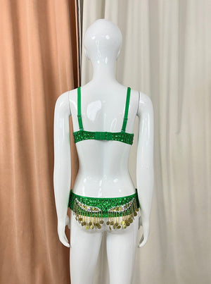 Belly Dance Costume Women's Emerald Green & Gold Sequin Coin Fringe Bra & Belt Set for Performance