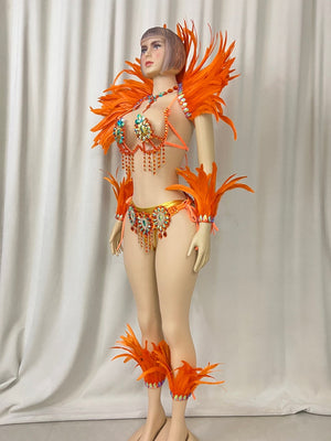 Carnival Dance Costume, Women's Orange Feathered Sequin Rhinestone Samba Mardi Gras Performance Wear