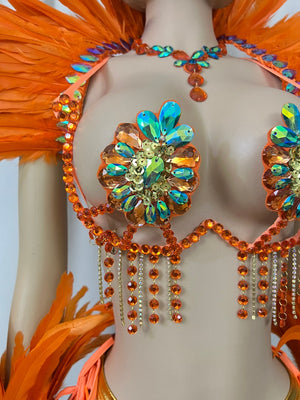 Carnival Dance Costume, Women's Orange Feathered Sequin Rhinestone Samba Mardi Gras Performance Wear
