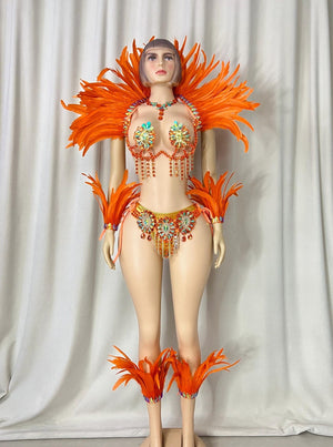 Carnival Dance Costume, Women's Orange Feathered Sequin Rhinestone Samba Mardi Gras Performance Wear