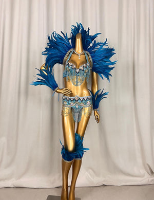 Women's Purple Sequin Feathered Latin Samba Dance Costume with Beaded Fringe