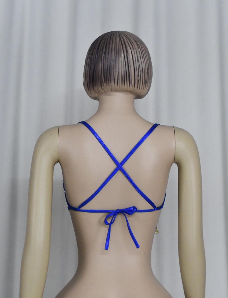 Belly Dance Bra, Women's Blue & Gold Crystal Embellished Fringe Sequins Rhinestone Dance Top, Samba, Carnival, Rave, Festival Costume